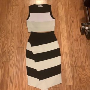 ALC Skirt and Top